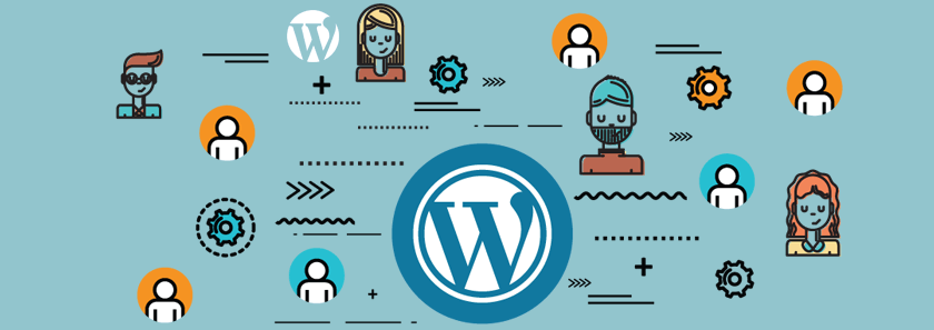 More WordPress User