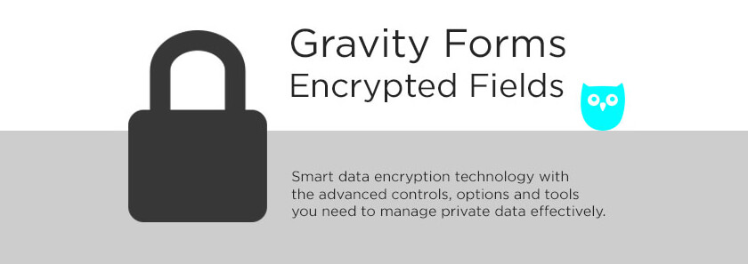 Gravity Forms Encrypted Fields