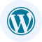 WordPress Plugins